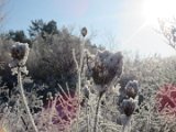 2022-12-15 - Bierberg (16)